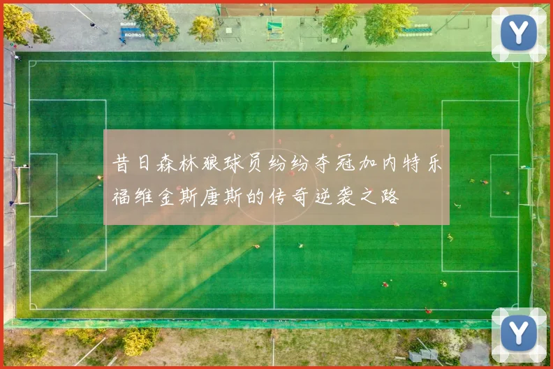 昔日森林狼球员纷纷夺冠加内特乐福维金斯唐斯的传奇逆袭之路