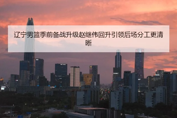 辽宁男篮季前备战升级赵继伟回升引领后场分工更清晰 - www.kaiyun.com