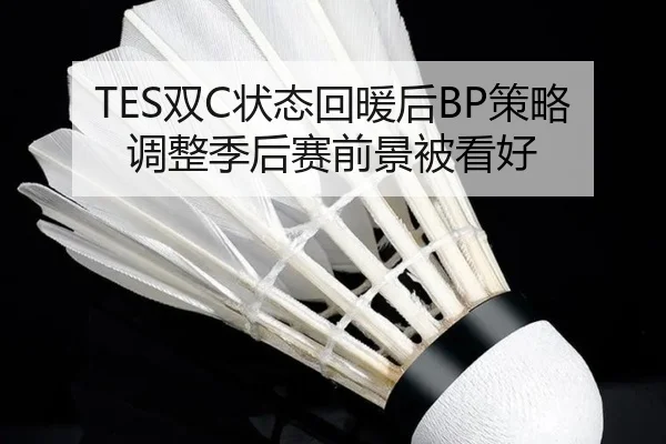 TES双C状态回暖后BP策略调整季后赛前景被看好 - www.kaiyun.com